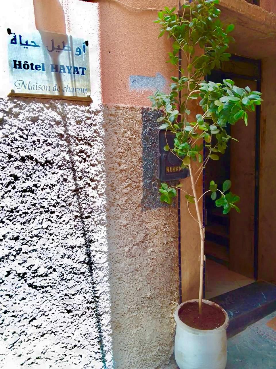 Hayat Marrakesch